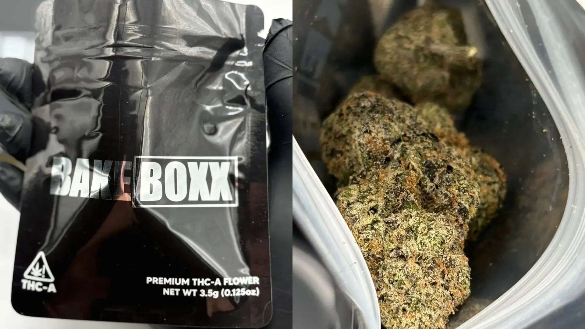 Bakeboxx Gobbstoppers 3.5 sizing